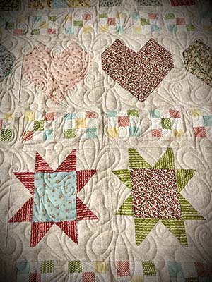 Row by Row quilt by Diane Wright with pattern Flowers Rise Again E2E